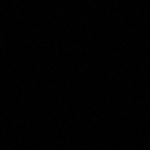 Meet your Posher, Brock